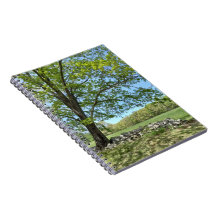 Notebook Monson Tree Retrato Spiral