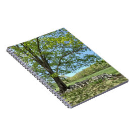 Caderno Espiral Notebook Monson Tree Retrato Spiral
