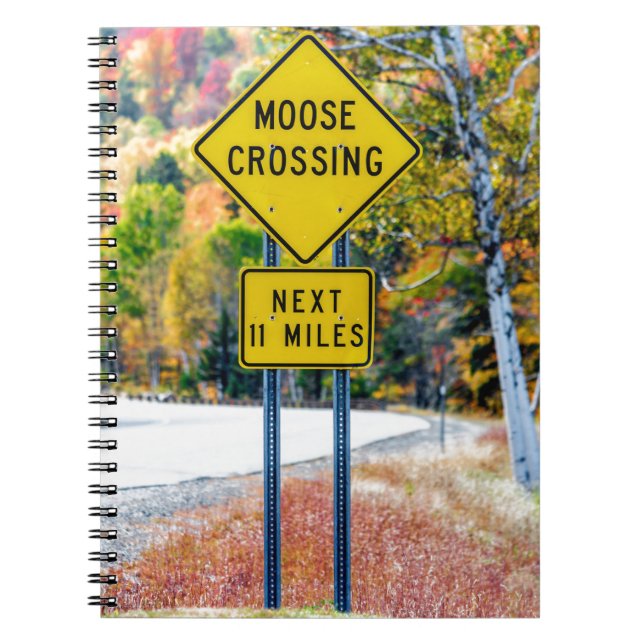 Caderno Espiral Notebook Moose Cruzando (Frente)