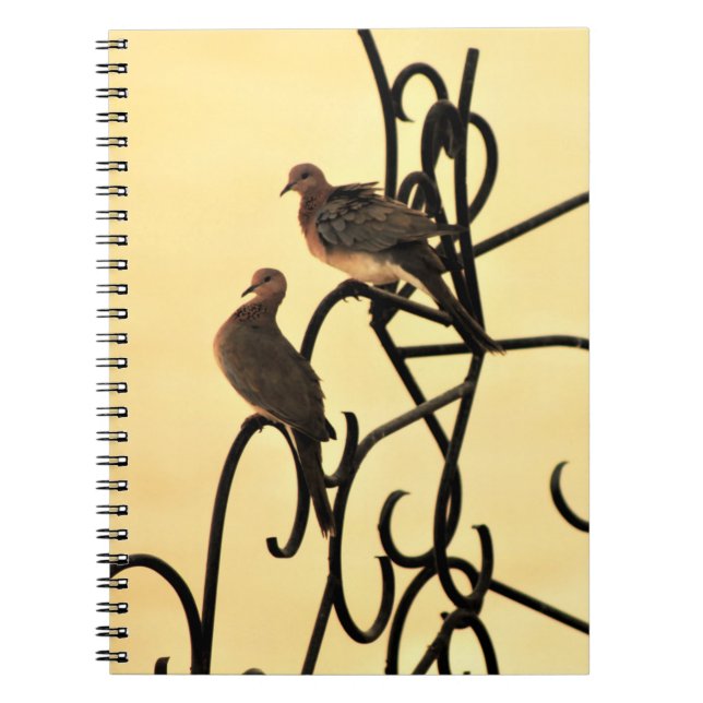 Caderno Espiral Notebook Morning Doves (Frente)