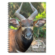 Notebook Mountain Bongo
