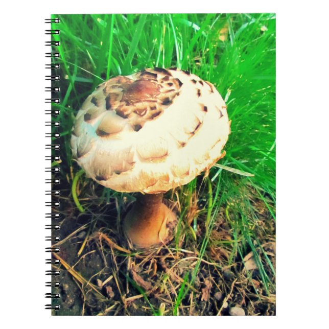 Caderno Espiral Notebook Mushroom (Frente)