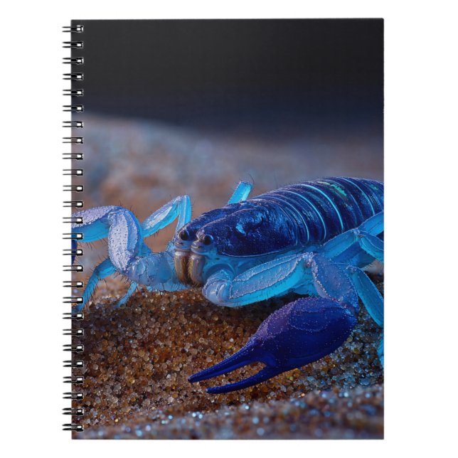 Caderno Espiral Notebook Neon Blue Scorpion (Frente)