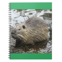 Notebook nutritivo