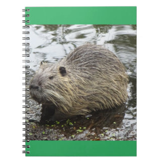 Caderno Espiral Notebook nutritivo