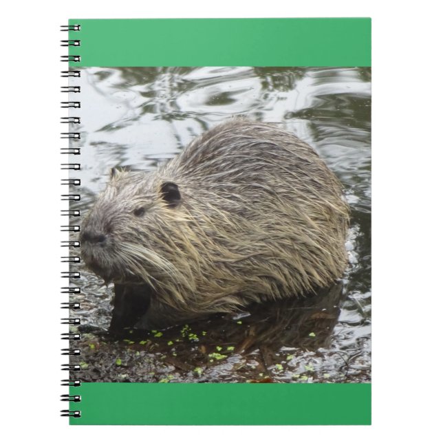 Caderno Espiral Notebook nutritivo (Frente)