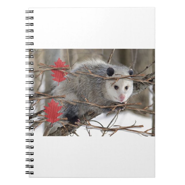Caderno Espiral Notebook Ogambm Nature (Frente)