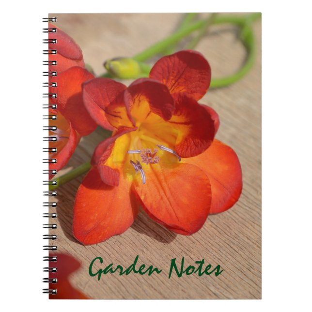 Caderno Espiral Notebook Orange Freesia Flower (Frente)