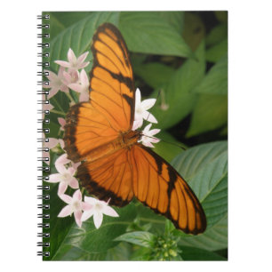 Caderno Espiral Notebook Orange Julia Butterfly