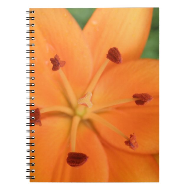 Caderno Espiral Notebook Orange Lily Floral (Frente)