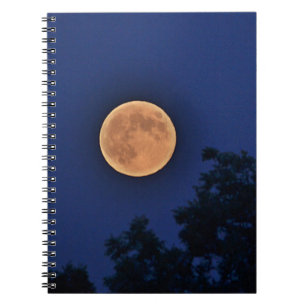 Caderno Espiral Notebook Orange Moon