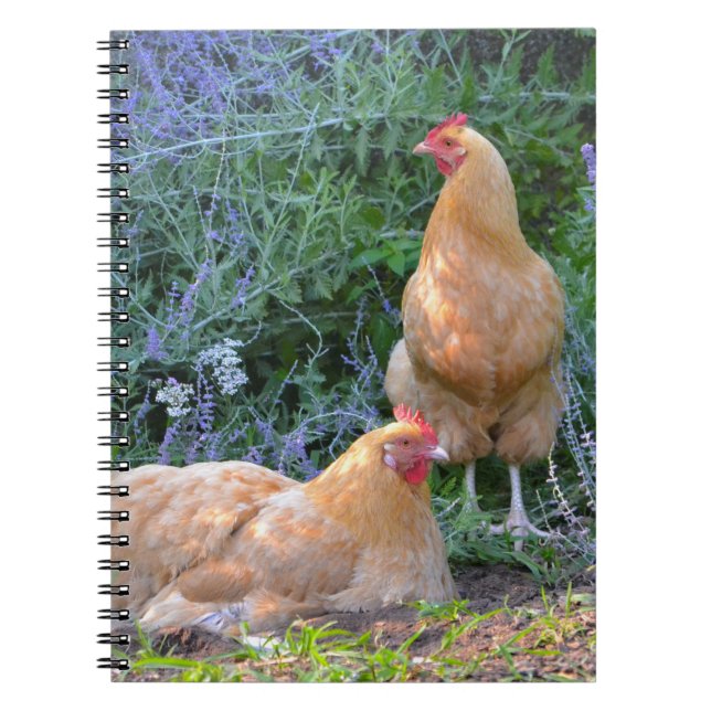 Caderno Espiral Notebook Orpington Hen (Frente)