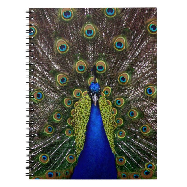 Caderno Espiral Notebook Orud Peacock (Frente)