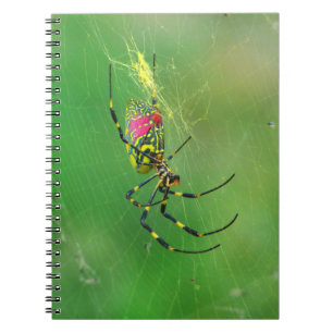 Caderno Espiral Notebook Ouro Orb Weaver Spider