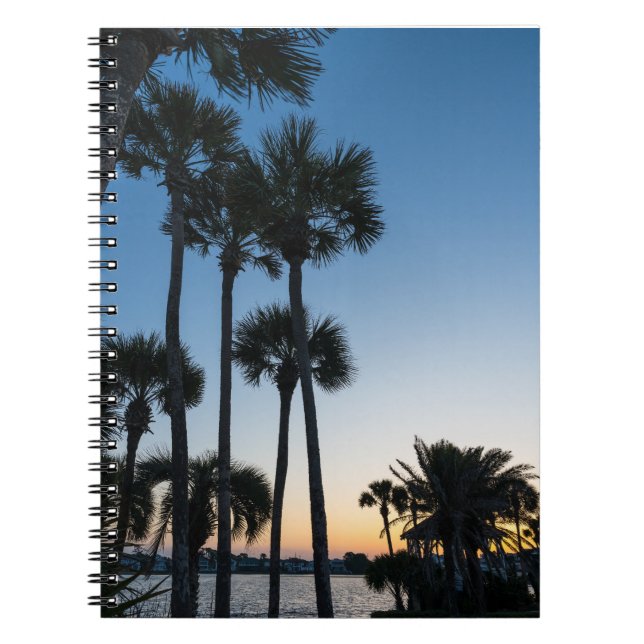 Caderno Espiral Notebook Palm Trees Sunrise Destin Florida (Frente)
