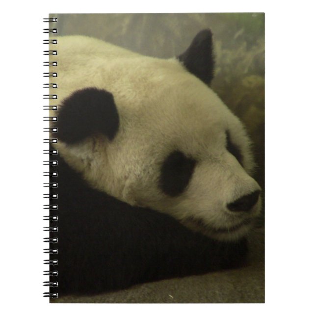 Caderno Espiral Notebook Panda (Frente)