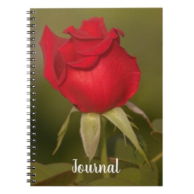 Caderno Espiral Notebook para Diário de Rosa vermelha nostálgico (Frente)