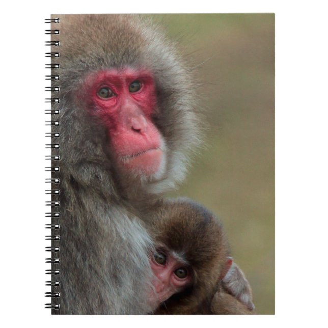 Caderno Espiral Notebook para macacos japoneses (Frente)