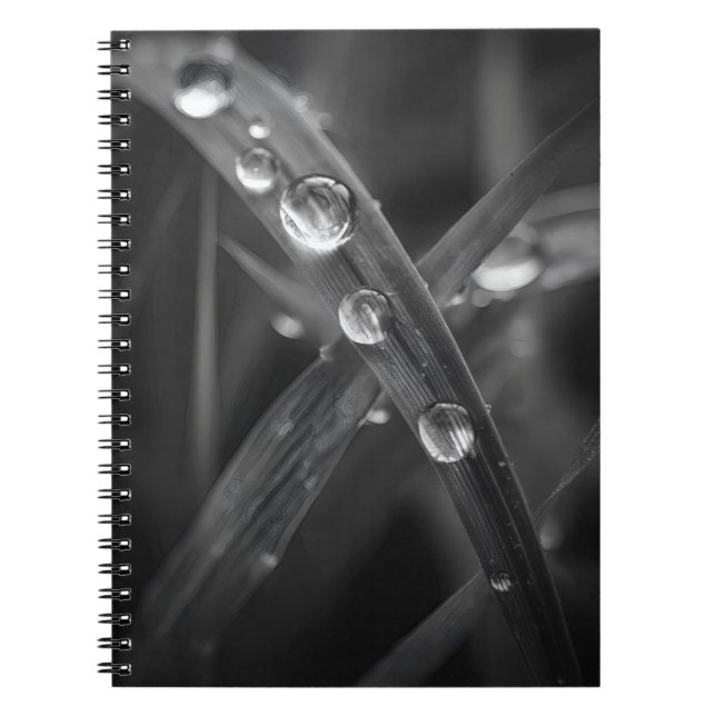 Caderno Espiral Notebook para macro lâmina de gramíneas de Dewdrop (Frente)