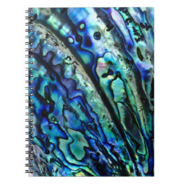 Caderno Espiral Notebook Paua Abalone iridescente