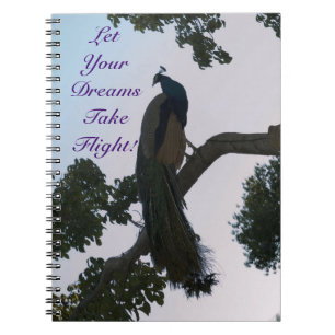 Caderno Espiral Notebook Peacock Dreams