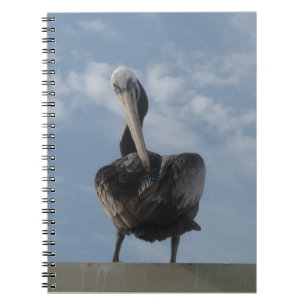 Caderno Espiral Notebook Pelicano do Peru