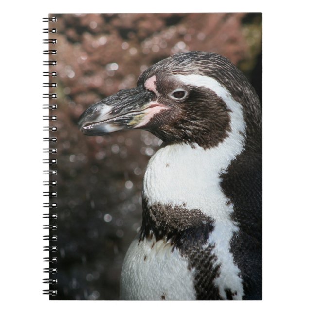 Caderno Espiral Notebook Penguin (Frente)