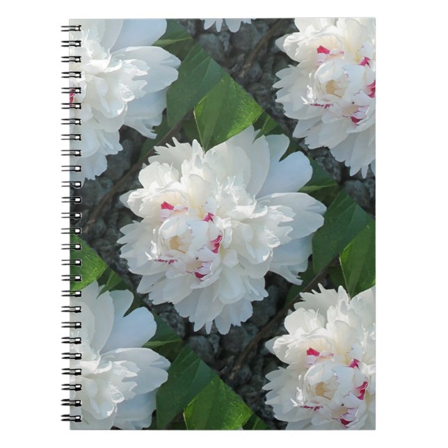 Caderno Espiral Notebook Peony MultiPrecioso (Frente)