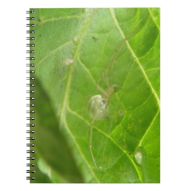 Caderno Espiral Notebook Pequeno Aranha (Frente)