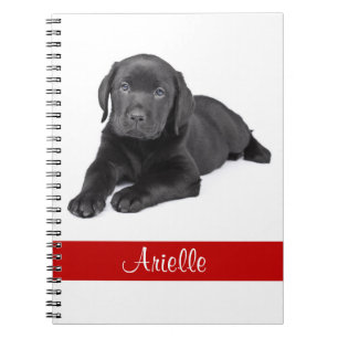 Caderno Espiral Notebook personalizado Black Labrador Retriever