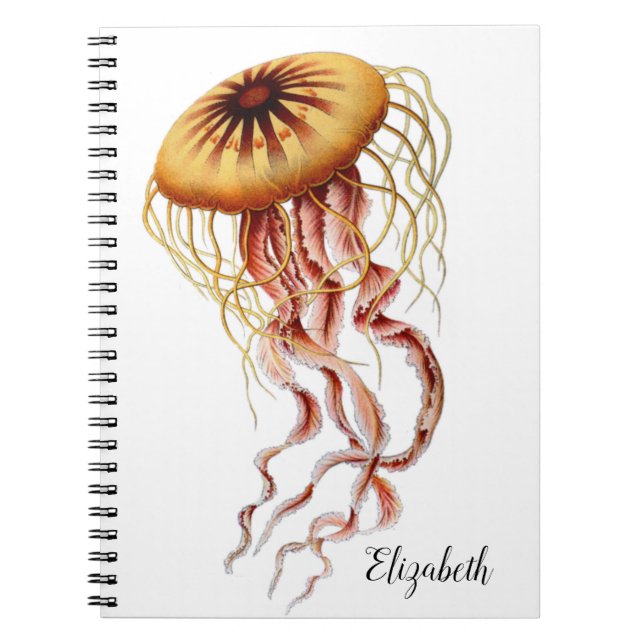 Caderno Espiral Notebook Personalizado De Água-Viva (Frente)