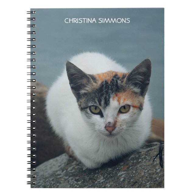 Caderno Espiral Notebook Personalizado de Gato Calico (Frente)