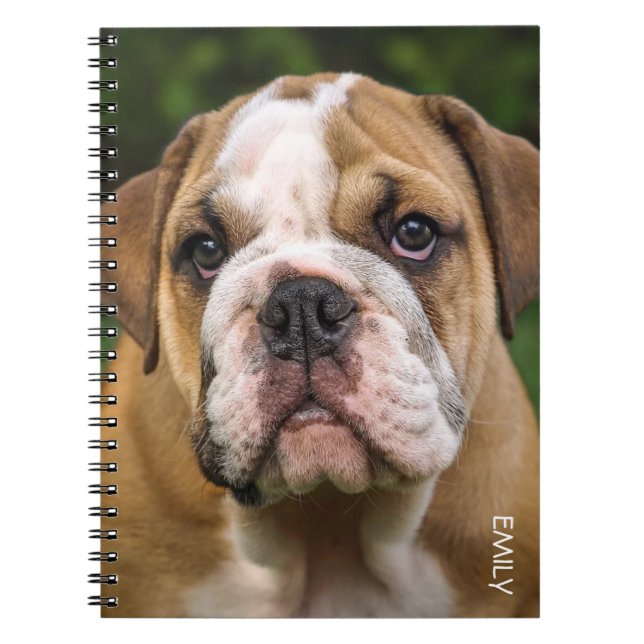 Caderno Espiral Notebook Personalizado Inglês Bulldog Dog (Frente)