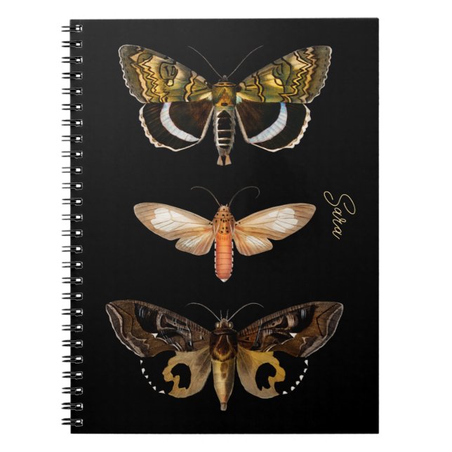 Caderno Espiral Notebook personalizado Vintage Moth Butterfly (Frente)