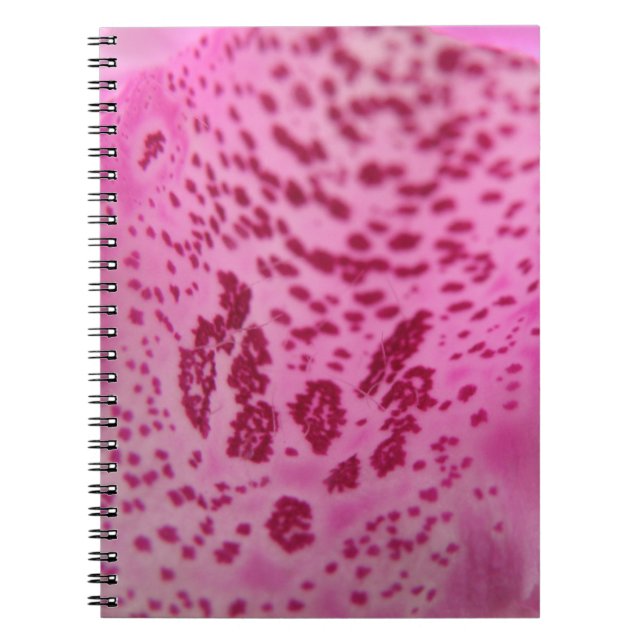 Caderno Espiral Notebook Petal Foxglove Rosa (Frente)
