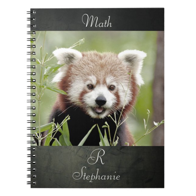 Caderno Espiral Notebook Photo red panda, animais 0443. notebook (Frente)