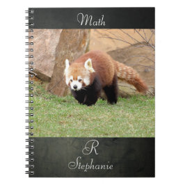 Caderno Espiral Notebook Photo red panda , animals 0436.