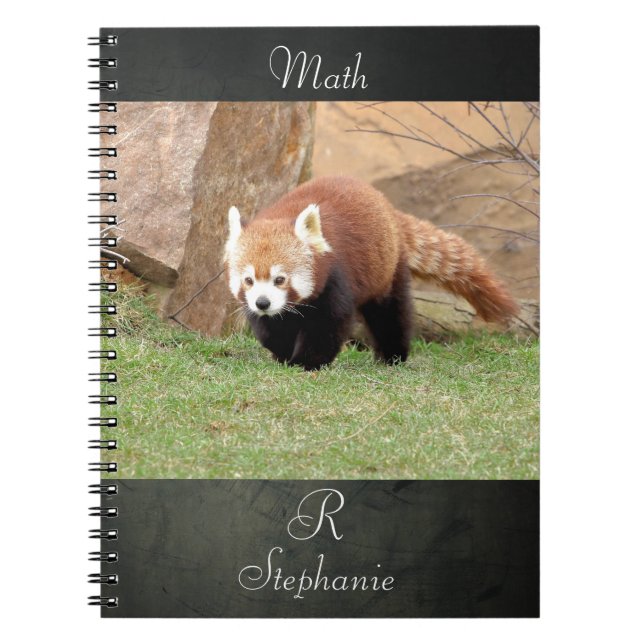 Caderno Espiral Notebook Photo red panda , animals 0436. (Frente)
