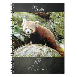Caderno Espiral Notebook Photo red panda , animals 0437.