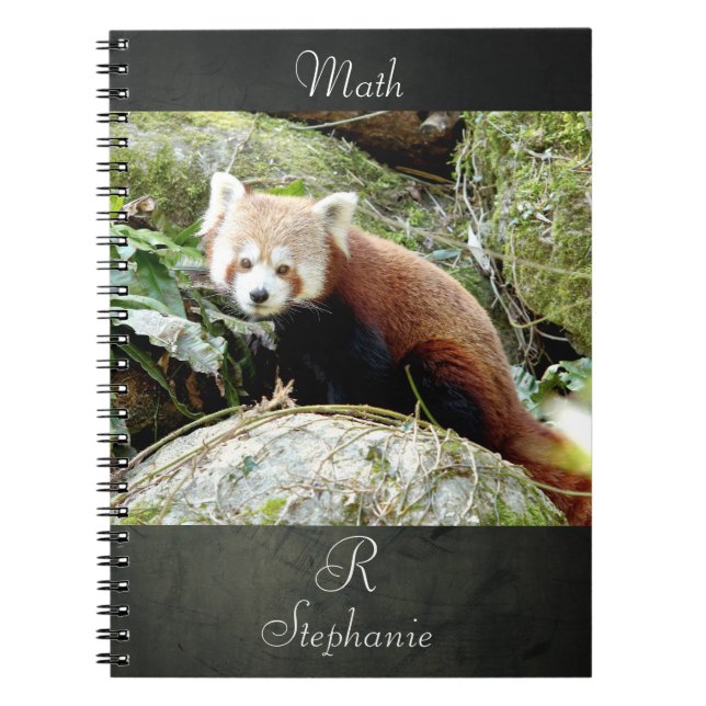 Caderno Espiral Notebook Photo red panda , animals 0437. (Frente)