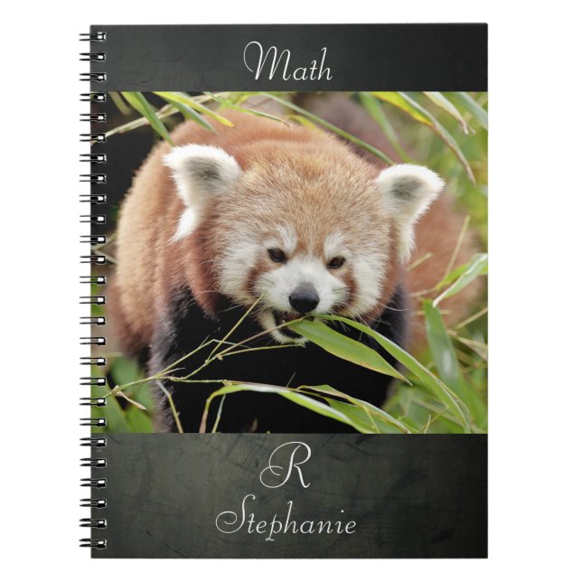 Caderno Espiral Notebook Photo red panda , animals 0443. (Frente)