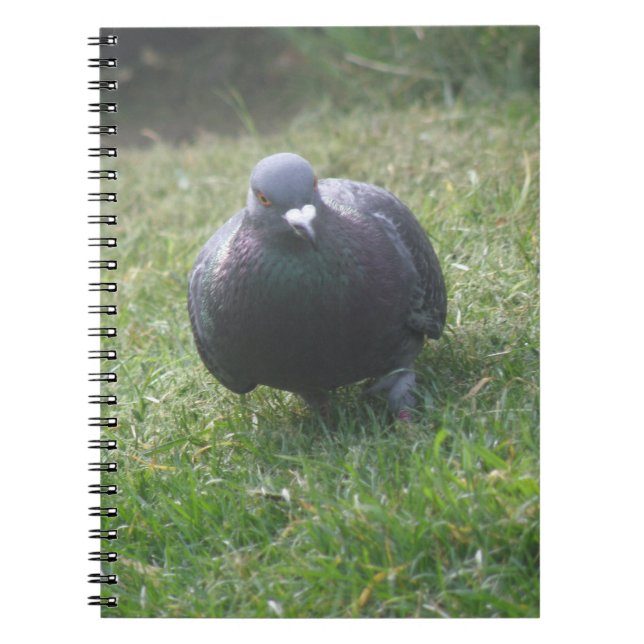 Caderno Espiral Notebook Pigeon (Frente)