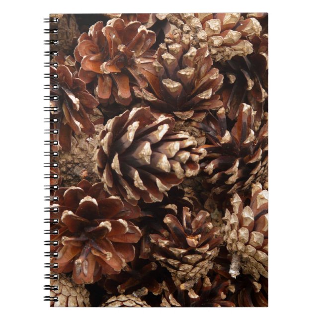 Caderno Espiral Notebook Pine Cones (Frente)