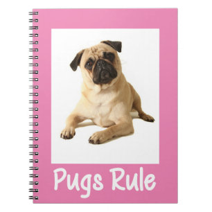 Caderno Espiral Notebook Pink Cachorro Adormecido / Diário