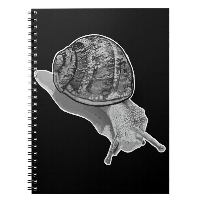 Caderno Espiral Notebook pintado (Frente)