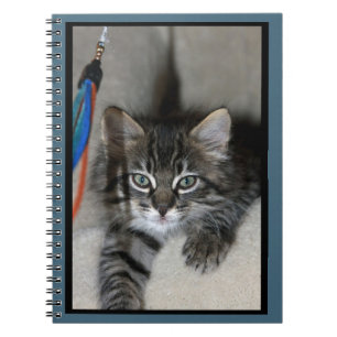 Caderno Espiral Notebook Playful Kitten Kimber