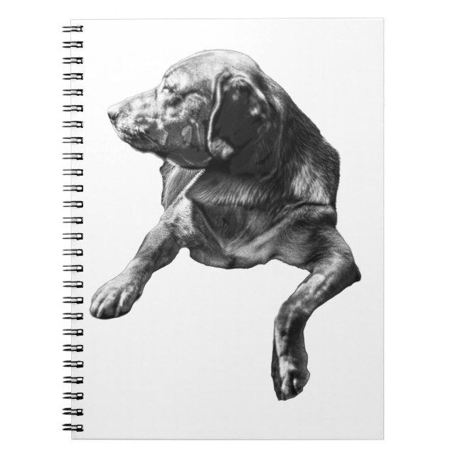 Caderno Espiral Notebook Pocket Plan, Labrador (Frente)