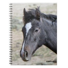 Caderno Espiral Notebook Poseidon da Bacia de Areia