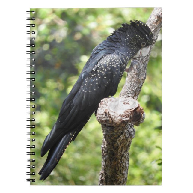 Caderno Espiral Notebook preto de pele vermelha (Frente)