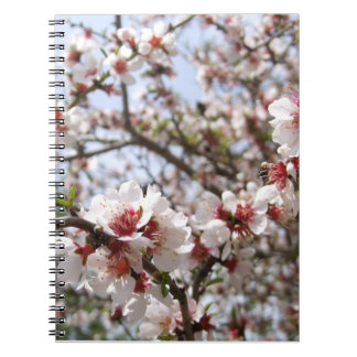 Caderno Espiral Notebook Primavera Blossom